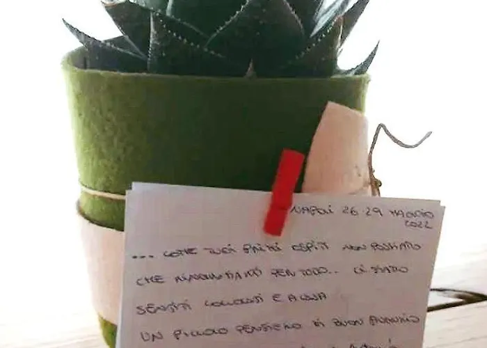 Frühstückspension Donna Lucia Neapel