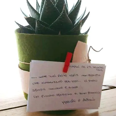 Bed & Breakfast Donna Lucia Napels