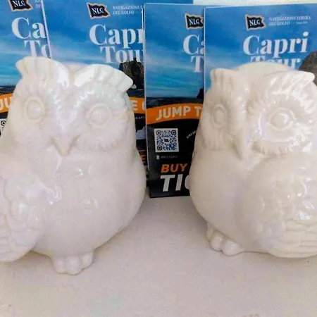 Donna Lucia Bed & Breakfast